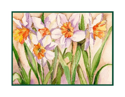 Watercolor White Daffodils Note Cards Notecards