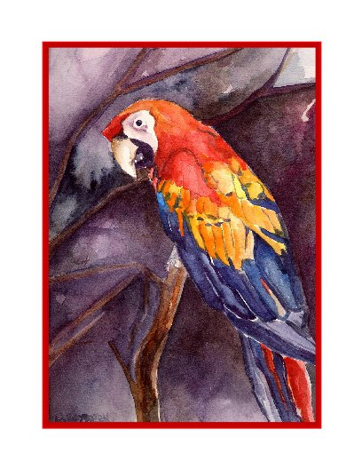 Watercolor Red Macaw Parrot Note Cards