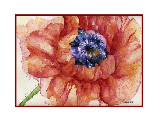 Watercolor Red Poppy Note Cards