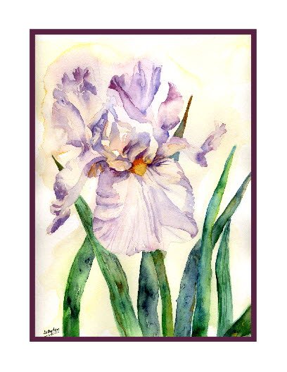 Watercolor Lavender Iris Notecards