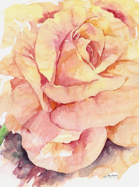 Original Watercolor Magnificent Rose Painting