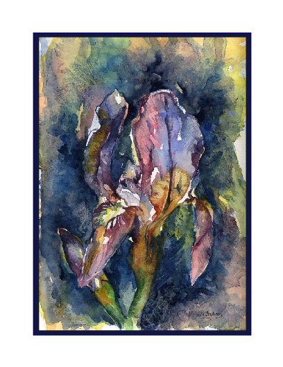 Watercolor Dwarf Iris Cards