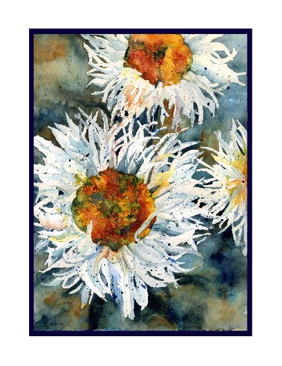 Shasta Daisies Watercolor Note Cards