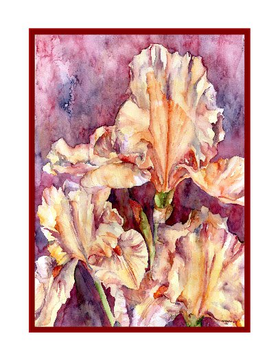 Orange Irises Watercolor Note Cards