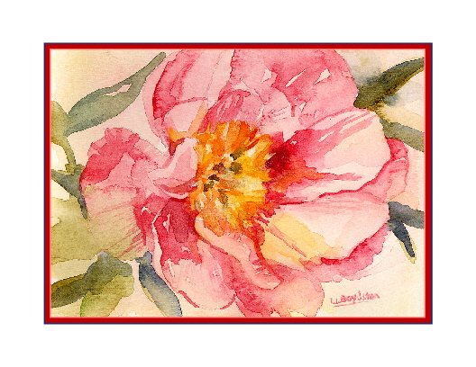 A Peony Watercolor Note Cards