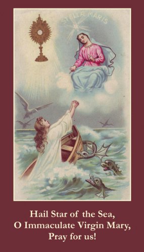 Ave Maris Stella Prayer Card PC#205