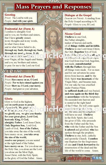 Mass Pew Cards WITH NEW TRANSLATIONS #MC85X55