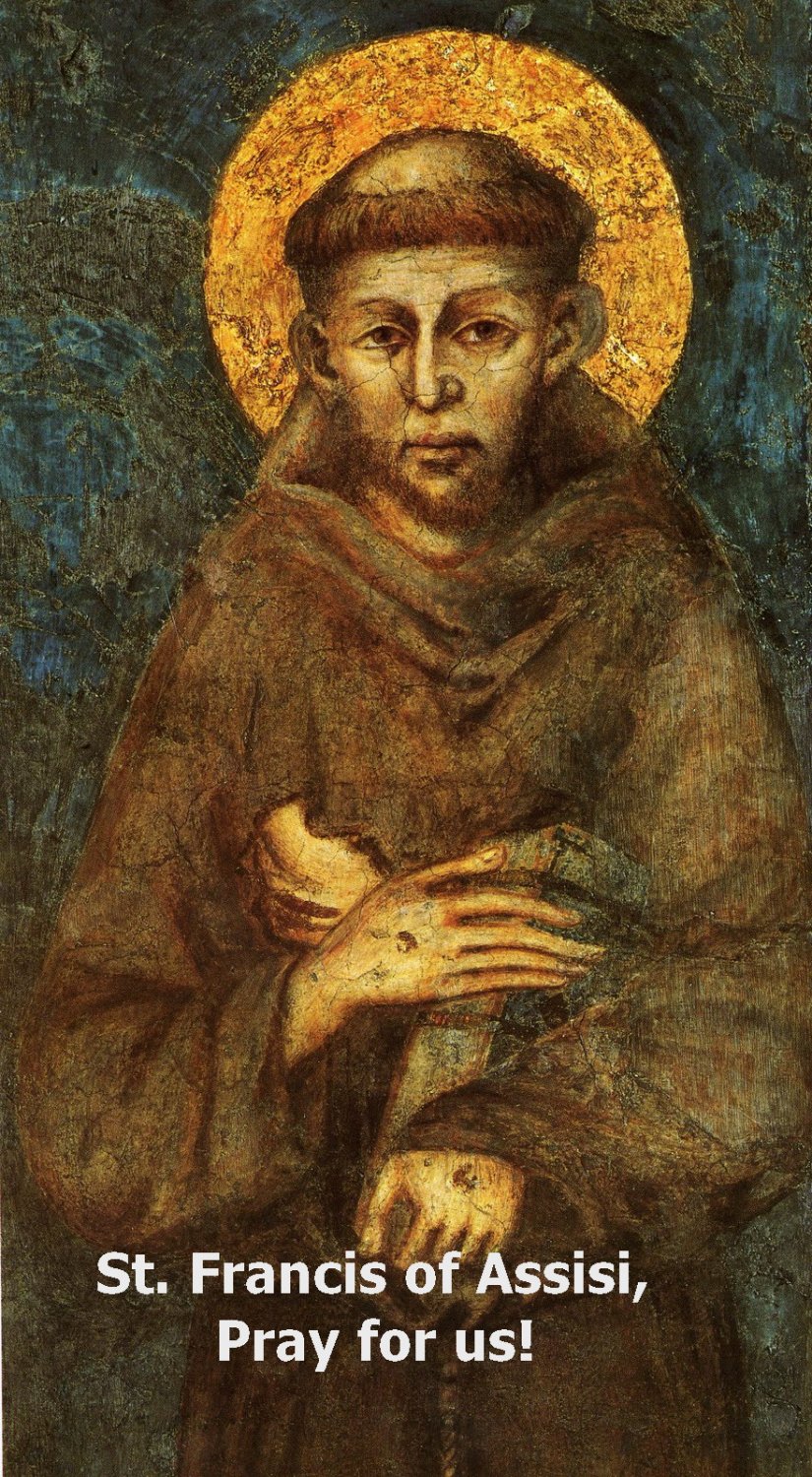 St. Francis of Assisi Magnet #Mag-6