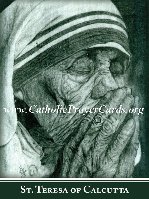 Special Limited Edition Mother Teresa Commemorative Collectors Series Canonization Holy Card PC#559