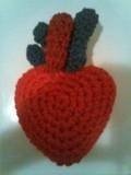 "Ami-tomical" Heart