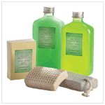 MINTY LIME SPA BASKET SET-AVAILABLE NOW