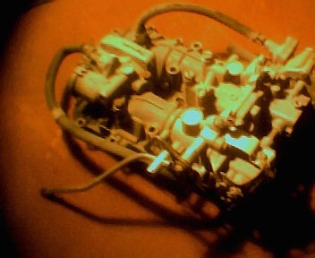 evenrude carbs