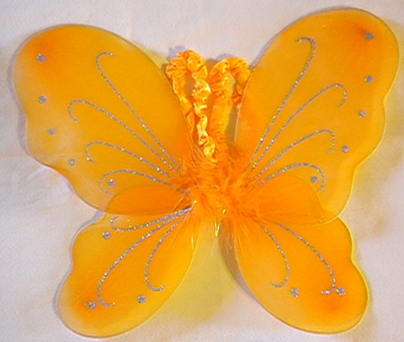 Orange Butterfly Wings