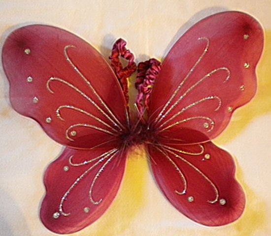 Burgundy Butterfly Wings