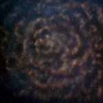 Golden Reversable Black Master Muslin Hand Painted Studio Photo Backdrop