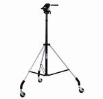 Dolly Pod III