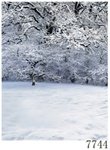 7744 Winter Computer Painted Background