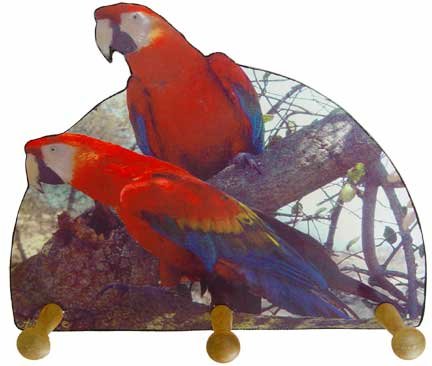 Scarlet Macaw Tropical Parrot macaw Key rack holder Handmade Gift