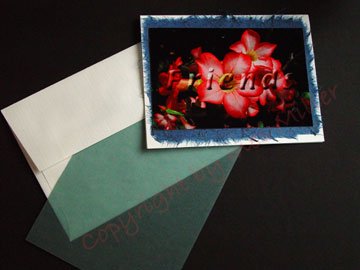 Personalized Notecards Plumeria Pink Tropical Flower Nocards on handmade banana paper