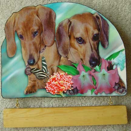 DACHSHUNDS butterfly tropical flowers personalized wood sign plaque RED doxies doggy