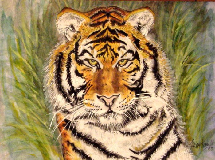 Tiger Portrait (Stripes)