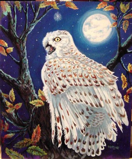 Night Owl