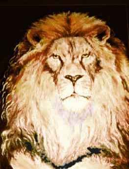 Portrait of a Lion