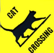 corrugated Sign "CAT CROSSING"