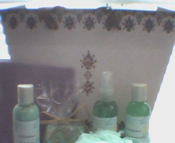InSPArations Signature Bag (Raspberry)