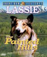 Lassie The Painted Hills