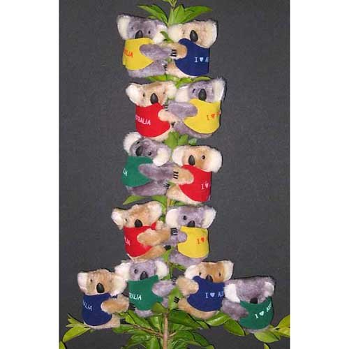 Clip on Koala Bear from Australia ( pack of 12 bears ) - Very Cute Koalas (0057)