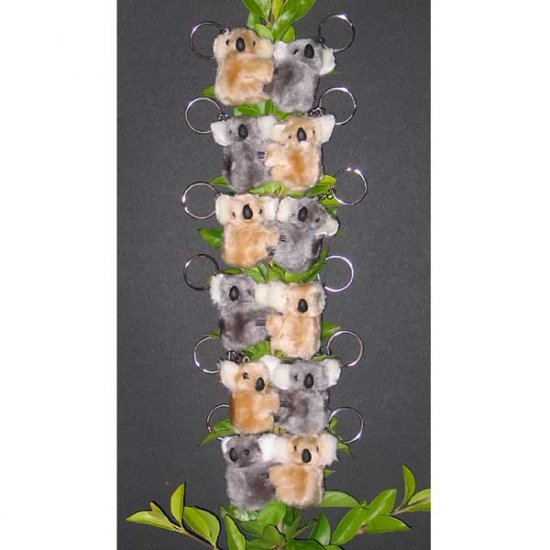 Clip on Koala Bear Keyrings from Australia ( pack of 12 bears ) - Very Cute Koalas (0066)