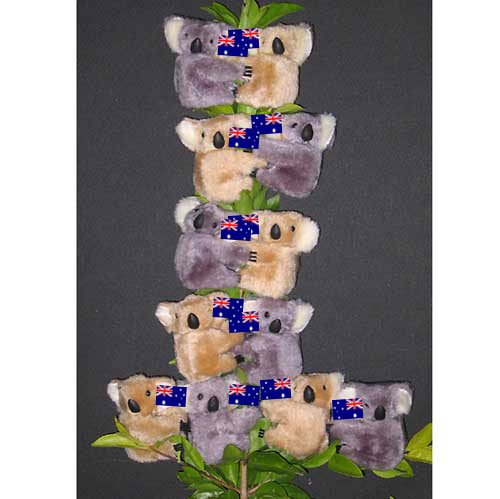 Clip on Koala Bears, Australian Flag (pk of 12) - Koalas from Australia (0060f)