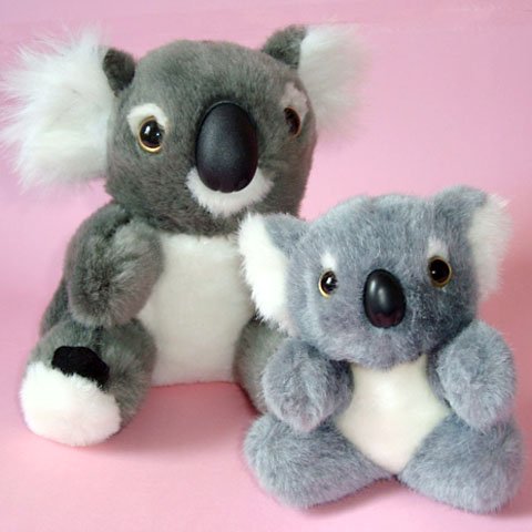 Koalas Plush Toys (pk of 2) ~ 16cm & 12cm high, Very Cute