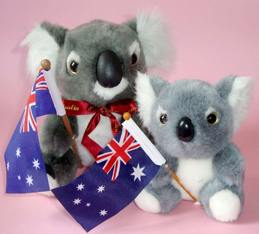 Koalas Plush Toys (pk of 2) ~ 16cm & 12cm high,Australian Flag