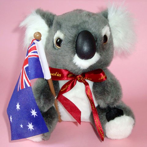 Koala Plush Toy ~ 16cm high, with Australian Flag
