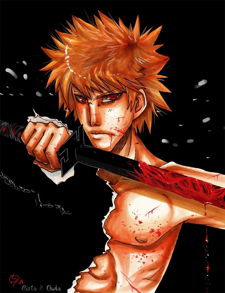 Ichigo 11 x 17 Print