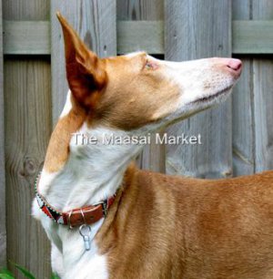 KENYA MAASAI MASAI BEADED LEATHER DOG COLLAR - XS/SMALL 02