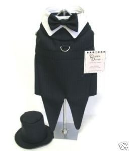 Dog Clothes Black Tuxedo With Tails & Matching Leash