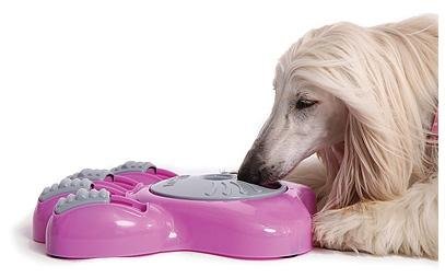 Dog Clothes New!! Aikiou Pink Bowl