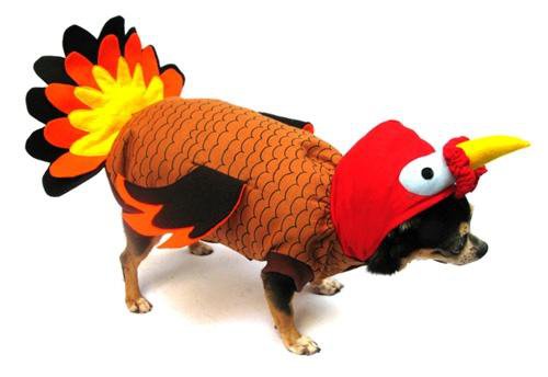 Dog Clothes Adorable Turkey Costume