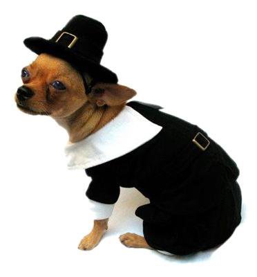 Dog Clothes Adorable Pilgrim Boy Costume