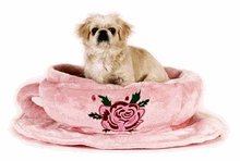 TEACUP SAUCER DOG BED
