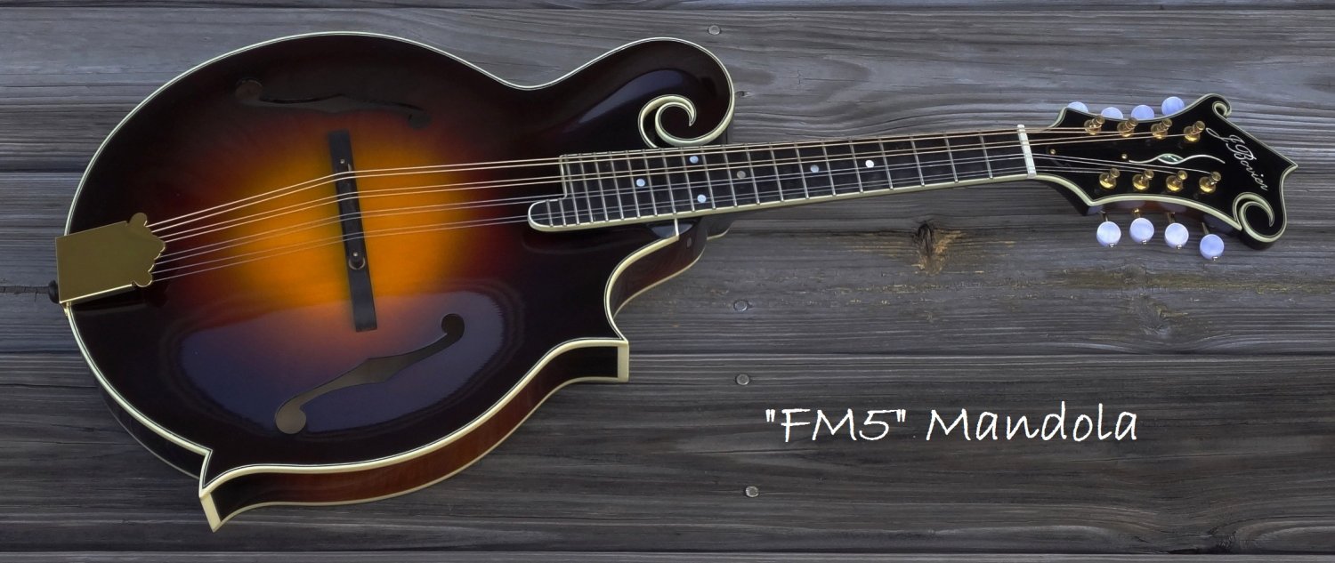 "FM5" Mandola + Custom Case