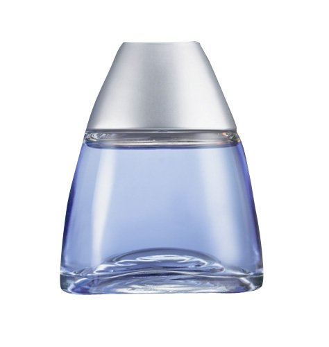 BLUE RUSH Eau de Toilette Spray for Him