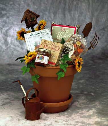 Sunflowers For You