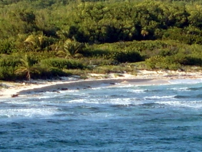 My Island