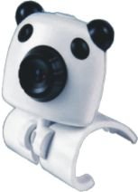 CAM--N023--White Dog