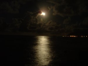 Moonlight Conditioning Scented Pumice Stone