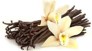 Tahitian Vanilla Scented Hand Sanitizer